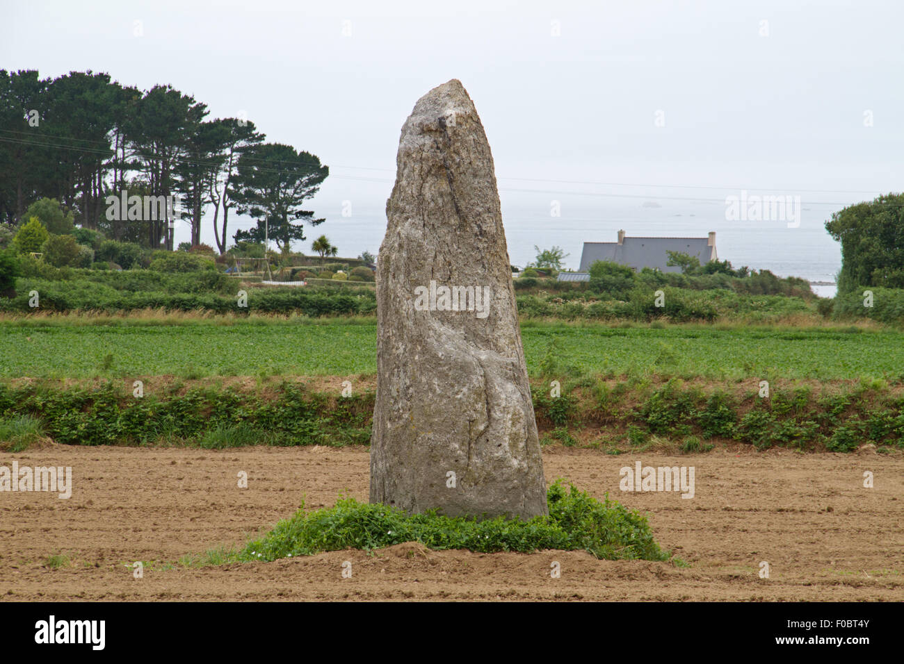 A standing stone or menhir in an agricultural field in Brittany, France Stock Photo