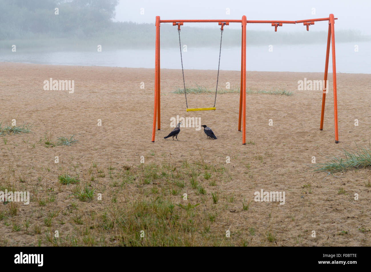Old orange swing and two crows on the beach, foggy lake on background Stock Photo