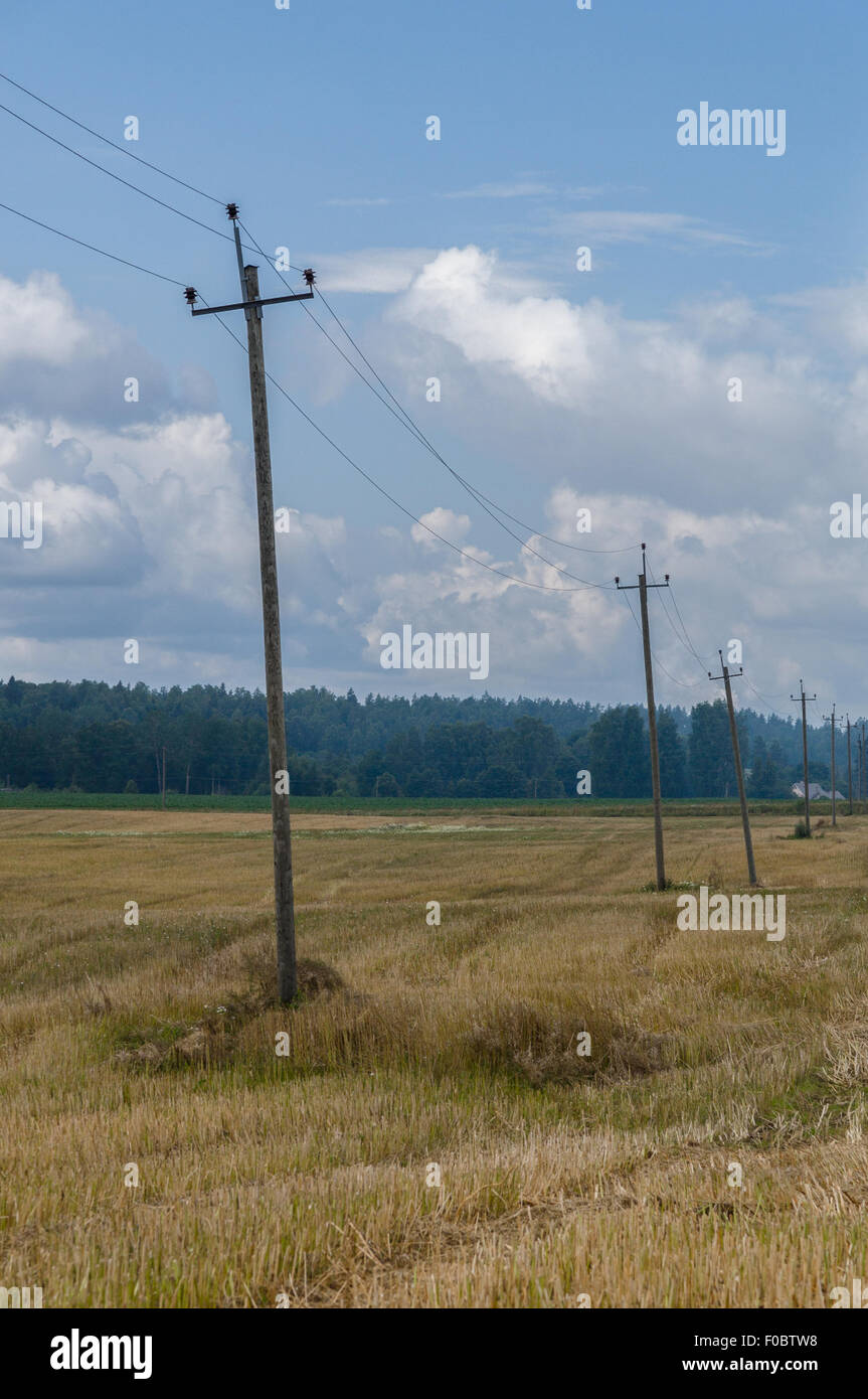 telephone poles for sale telephone poles for sale