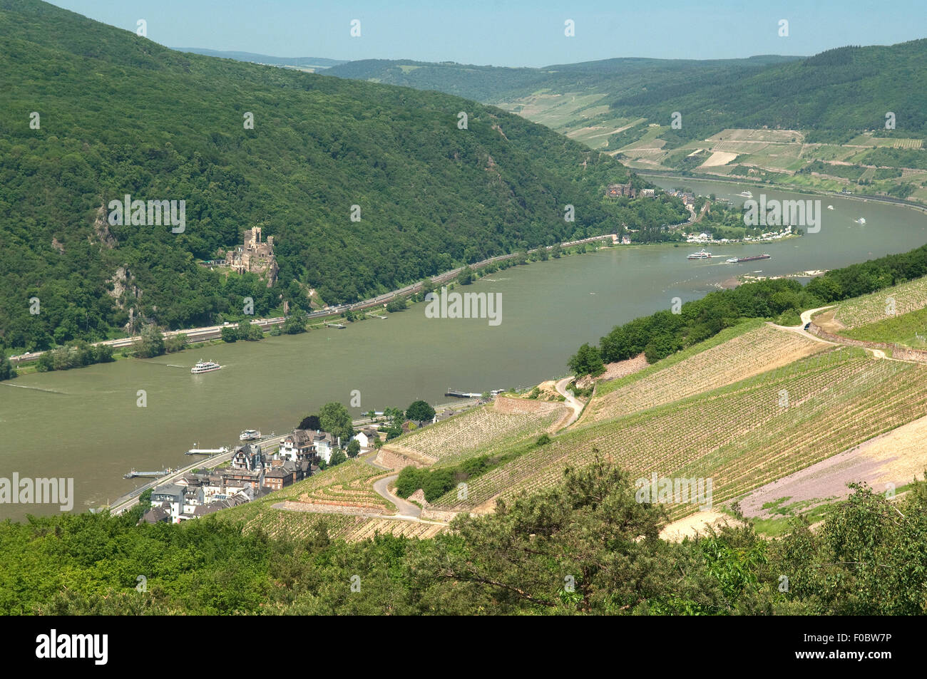 Assmannshausen, Burg, Rheinstein, Blick; Rhein; Stock Photo