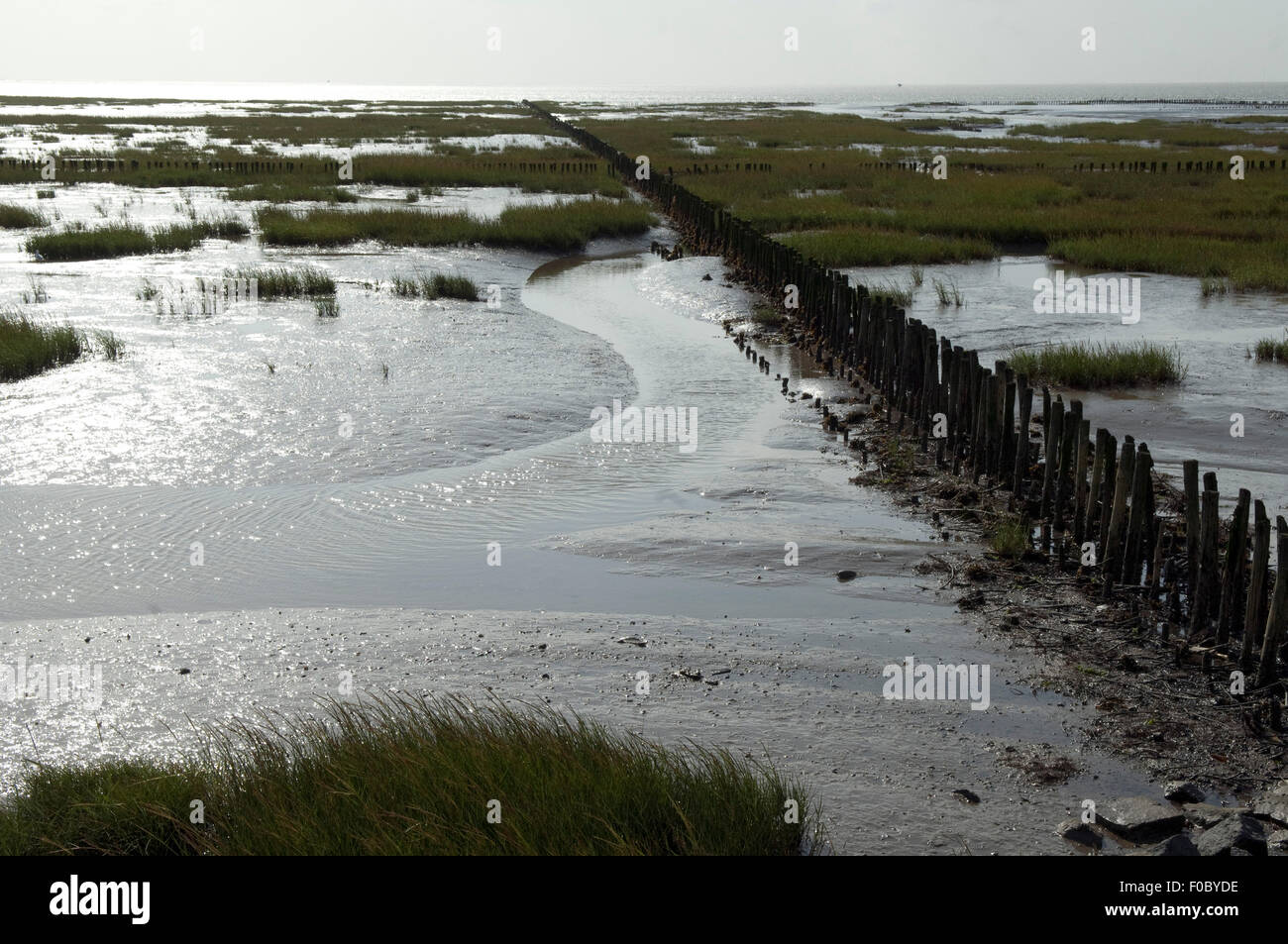 Kuestenschutz, Entwaesserung, Friedrichskoog, Stock Photo