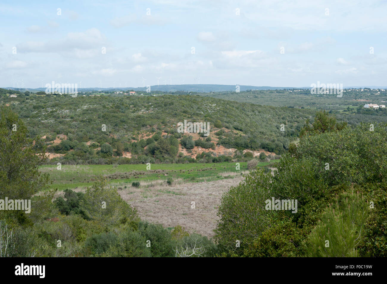 View of the coastal vegetation Near Burgau, Western Portugal. Stock Photo