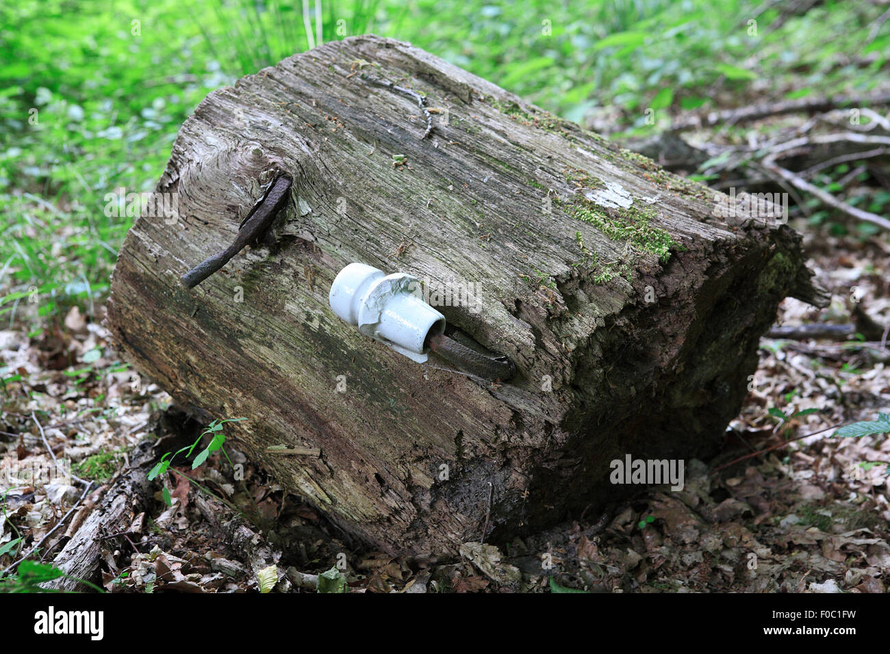 original remains of porcelain power insulator in former forced labour camp. lenne, eschershausen,lower saxony, germany, europe Stock Photo