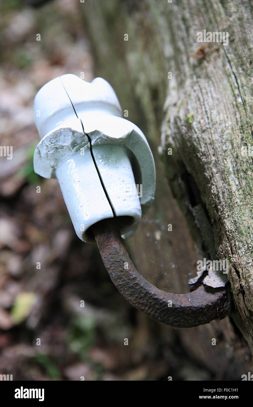 original remains of porcelain power insulator in former forced labour camp. lenne, eschershausen,lower saxony, germany, europe Stock Photo