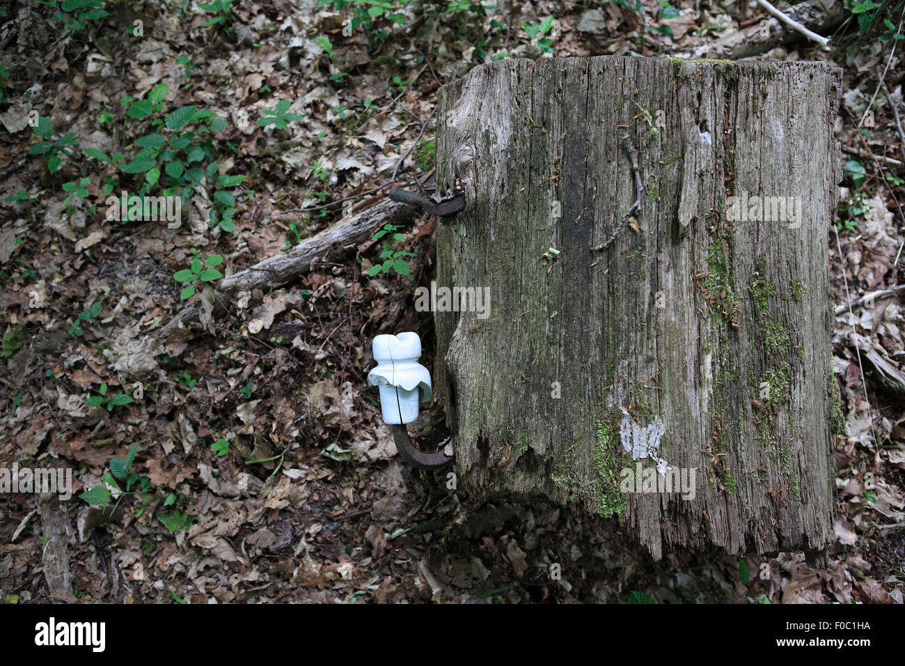 original remains of porcelain power insulator in former forced labour camp. lenne, eschershausen,lower saxony, germany, europe Stock Photo
