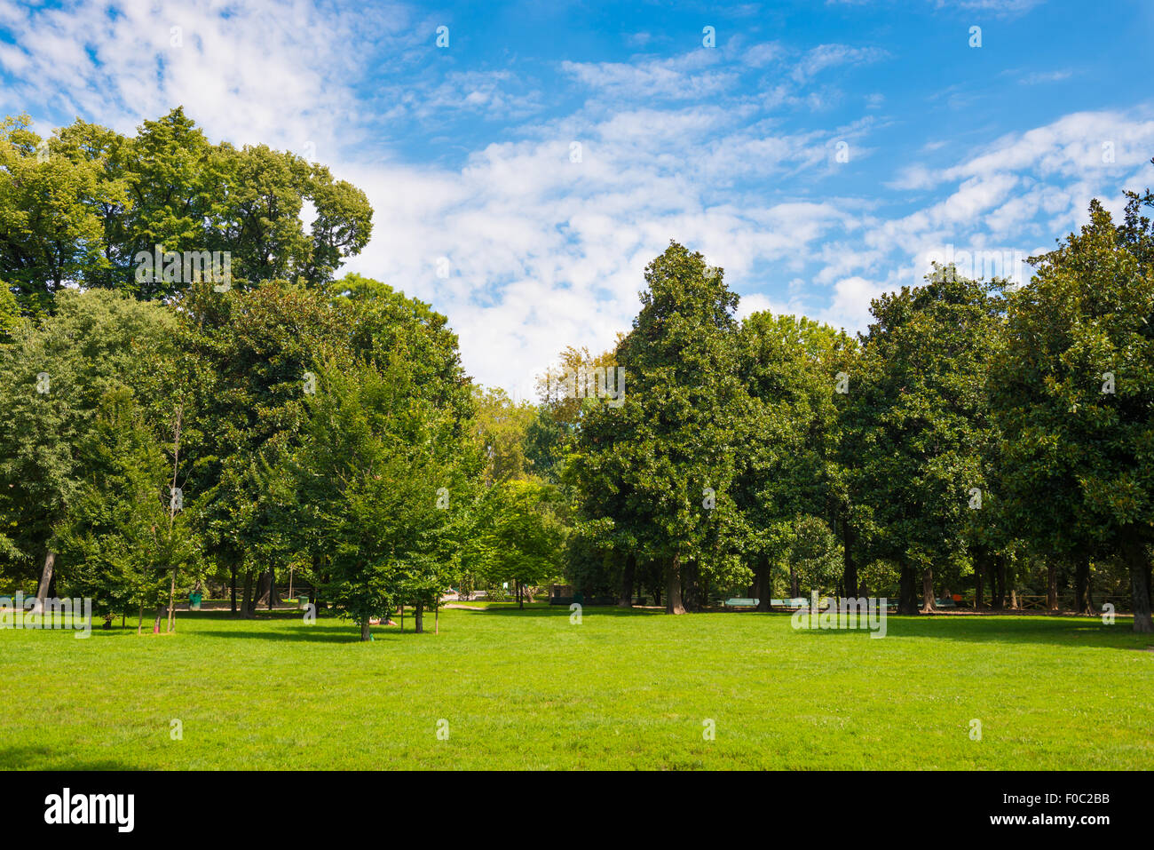 Green lawn with trees in park under sunny light Stock Photo - Alamy