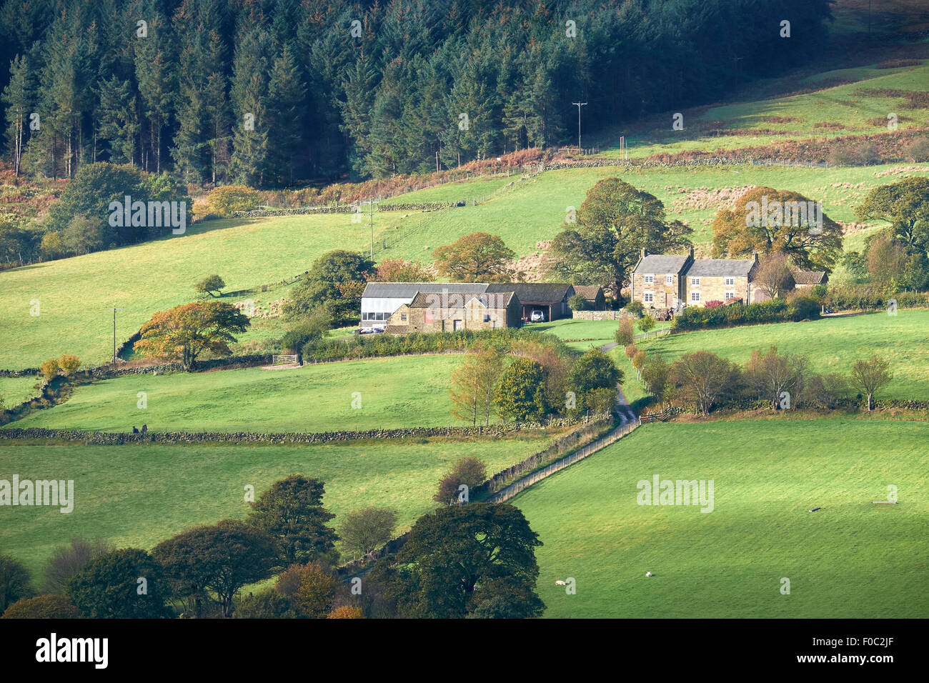 A farm in the rolling hills of North York Moors, North East England. UK. Stock Photo