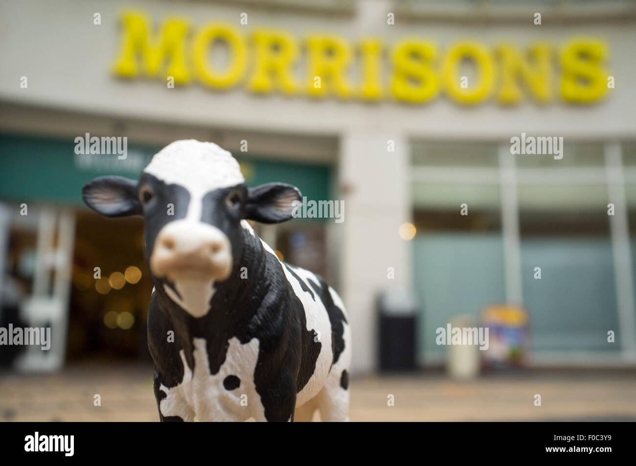 Wimbledon, London, UK. 12th Aug, 2015. Morrisons supermarket plans to launch a Milk Brand to pay an extra 10 pence per litre to help the struggling British Dairy industry. The announcement comes after a protests by British dairy farmers over falling milk prices and a meeting between Morrisons bosses and members of the NFU National Farmers Union to resolve the milk crisis Credit:  amer ghazzal/Alamy Live News Stock Photo
