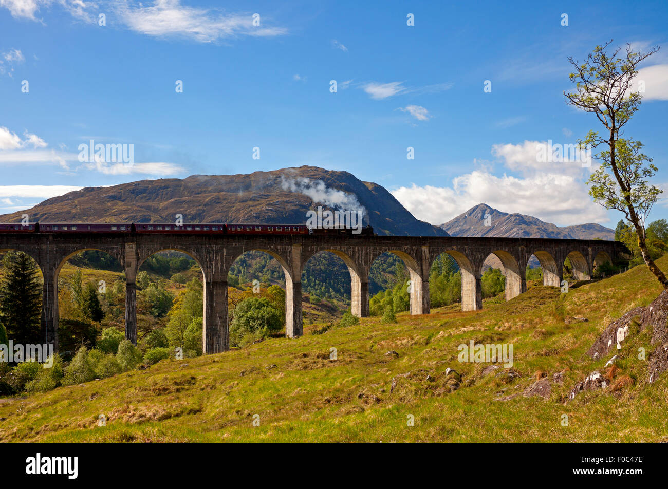 Jacobite Steam Train, Glenfinnan Viaduct, Lochaber, Scotland, UK Stock Photo