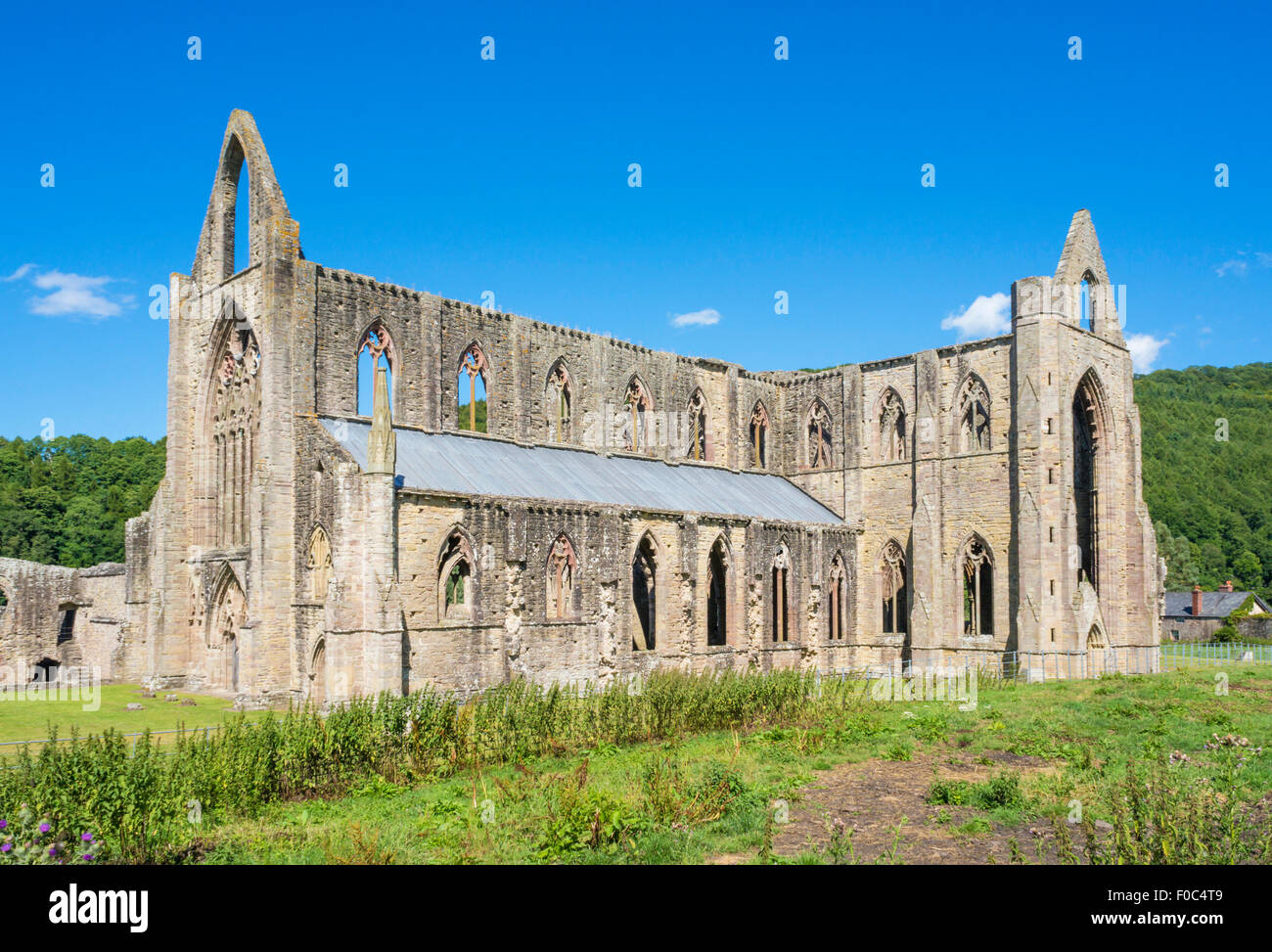Tintern Abbey, Tintern, Wye Valley, Monmouthshire, Wales, UK, EU, Europe Stock Photo
