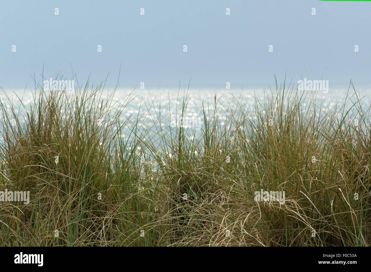 Nordseeduene; Nordsee; See; Meer; Sand; Stock Photo