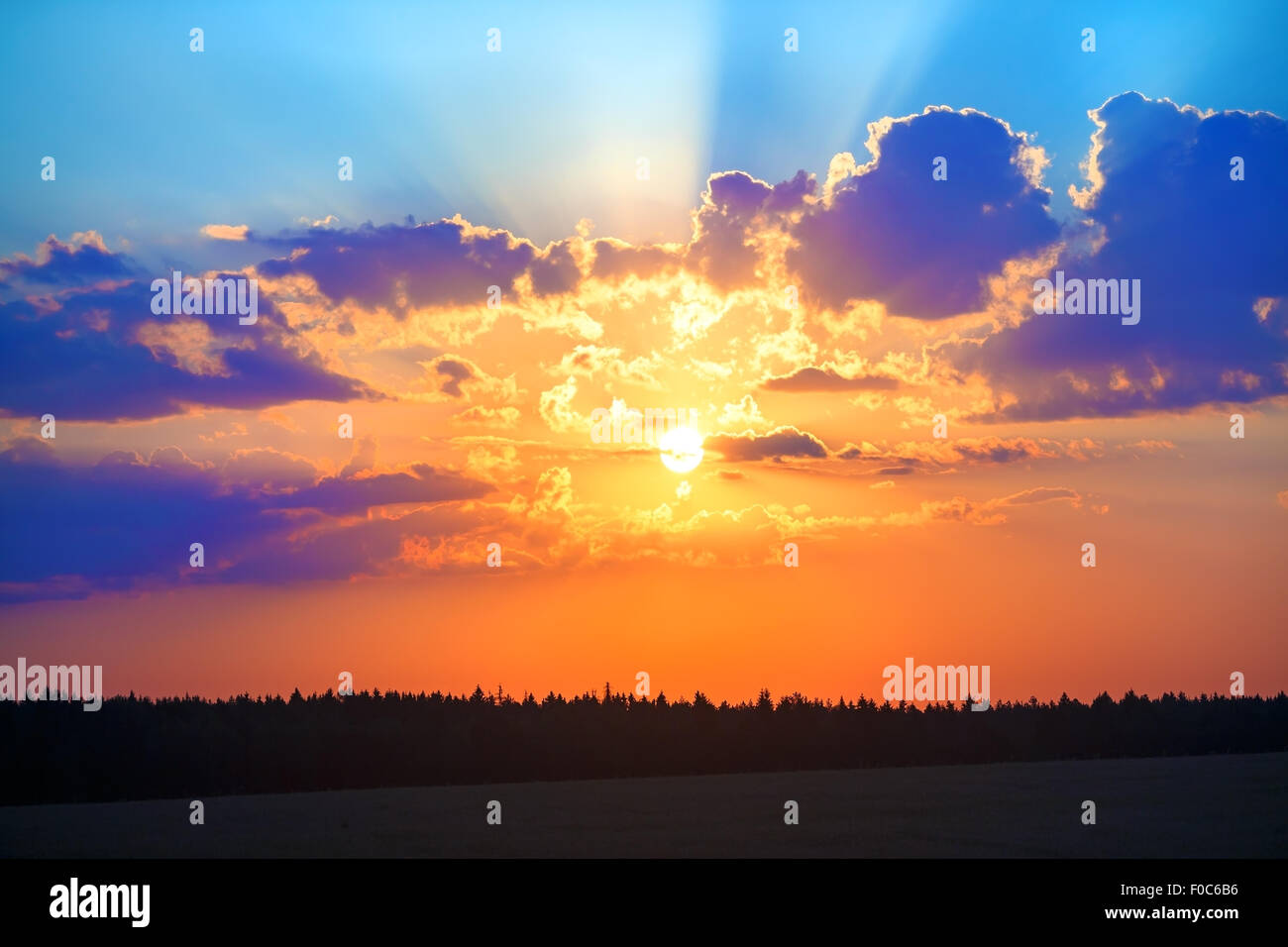 Beautiful sunset over golden forest hi-res stock photography and images ...