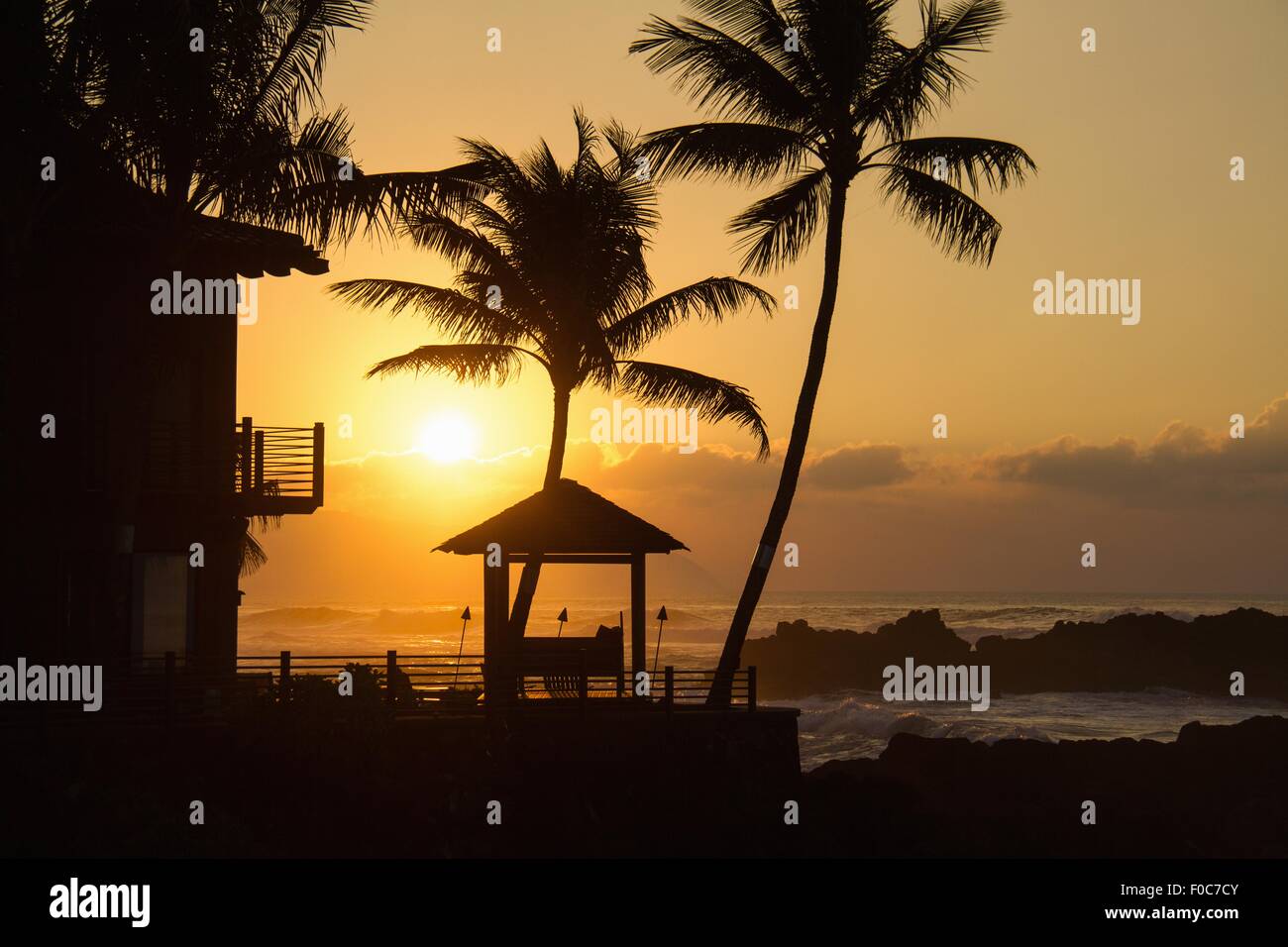 Beach house and palm trees at sunset, Hawaii, USA Stock Photo Alamy