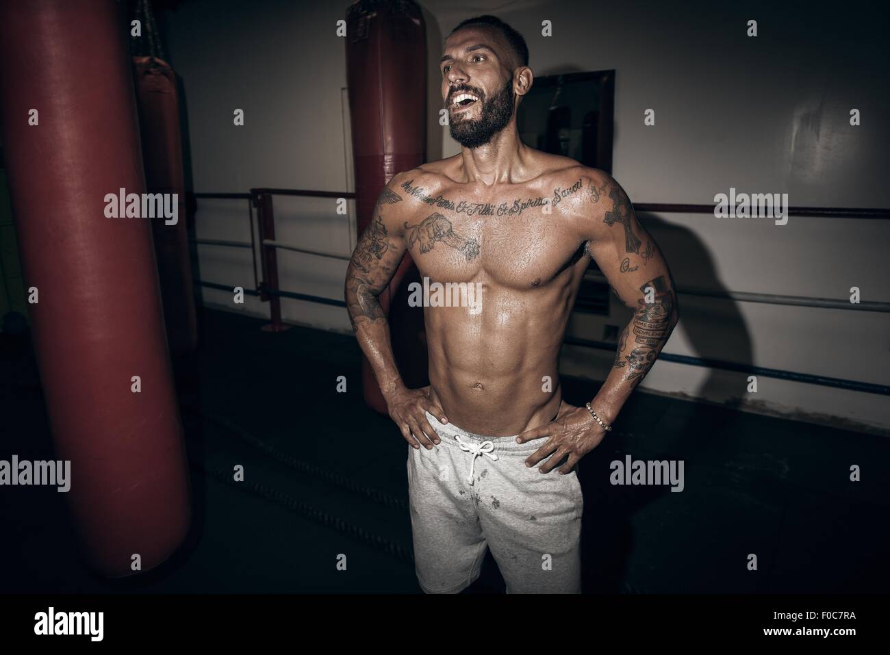 Portrait of tattooed male boxer with hands on hips in gym - Stock Image -  Everypixel