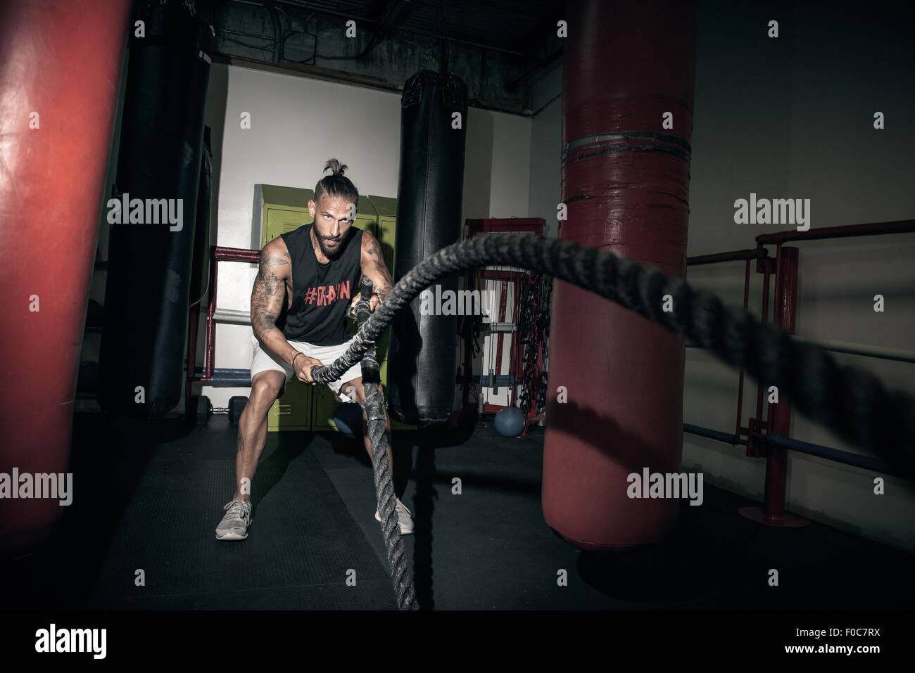 Male boxer doing battle rope training in gym Stock Photo - Alamy