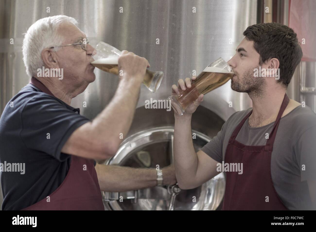 Two brewers drinking beer in the brewery Stock Photo Alamy