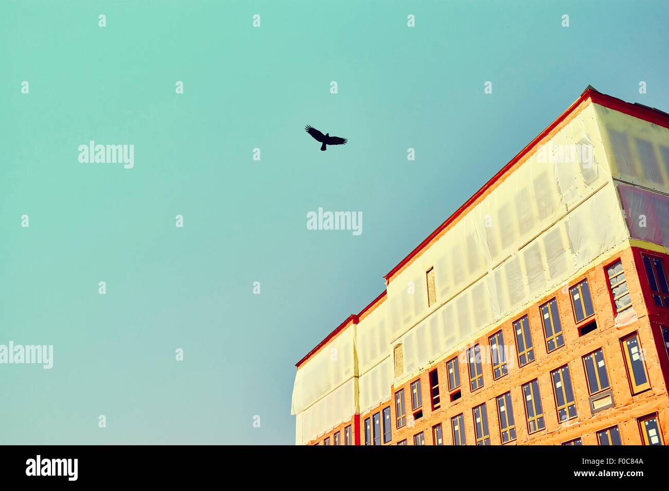 Silhouette of bird flying over building under construction with blue sky Stock Photo