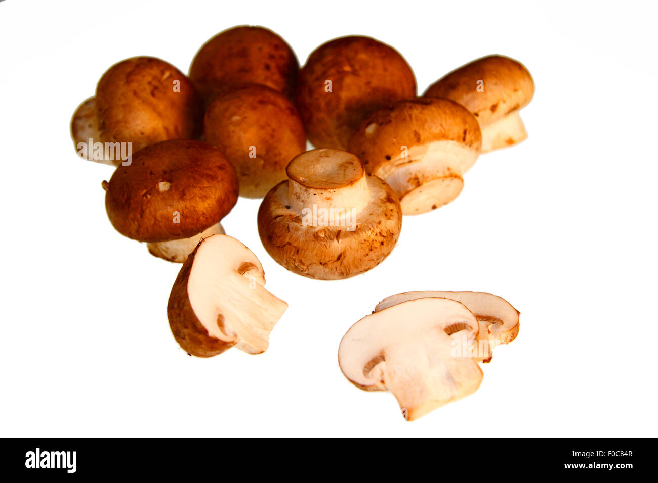 Plize: Champignons - Symbolbild Nahrungsmittel. Stock Photo