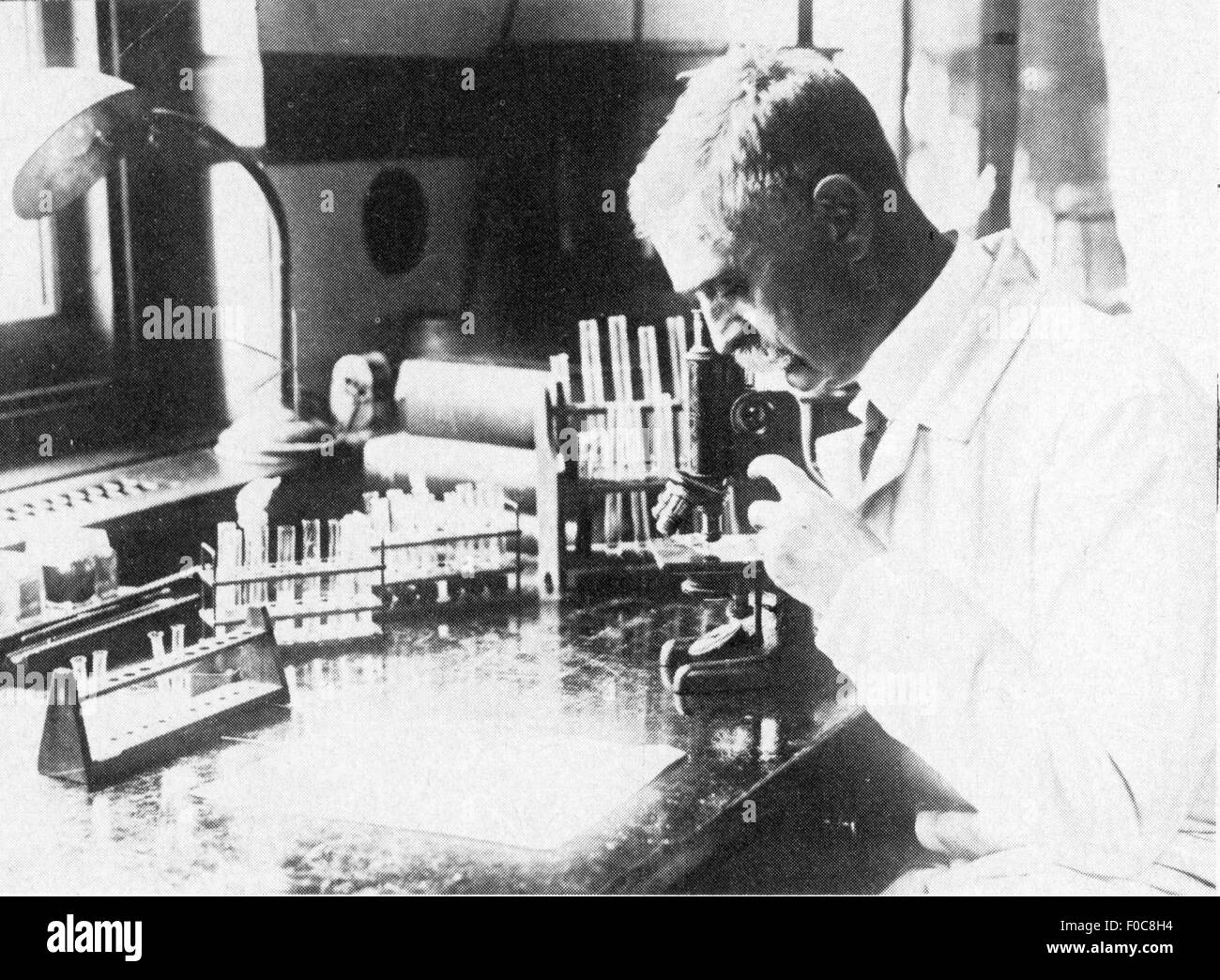 Landsteiner, Karl, 14.6.1868 - 26.6.1943, Austrian chemist and medic / physician, half length, on the microscope, 1.10.1930, out of: 'Deutsches Ärzteblatt', issue 41, Cologne, 11.10.1973, Stock Photo