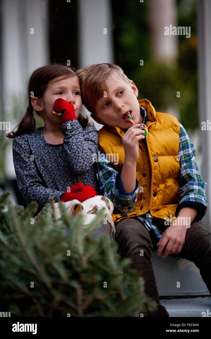 Portrait of a boy and girl eating festive candy canes Stock Photo Alamy