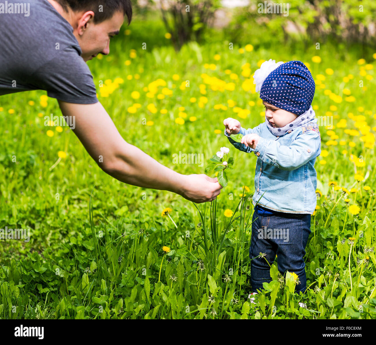 father and daughter in the park Stock Photo - Alamy