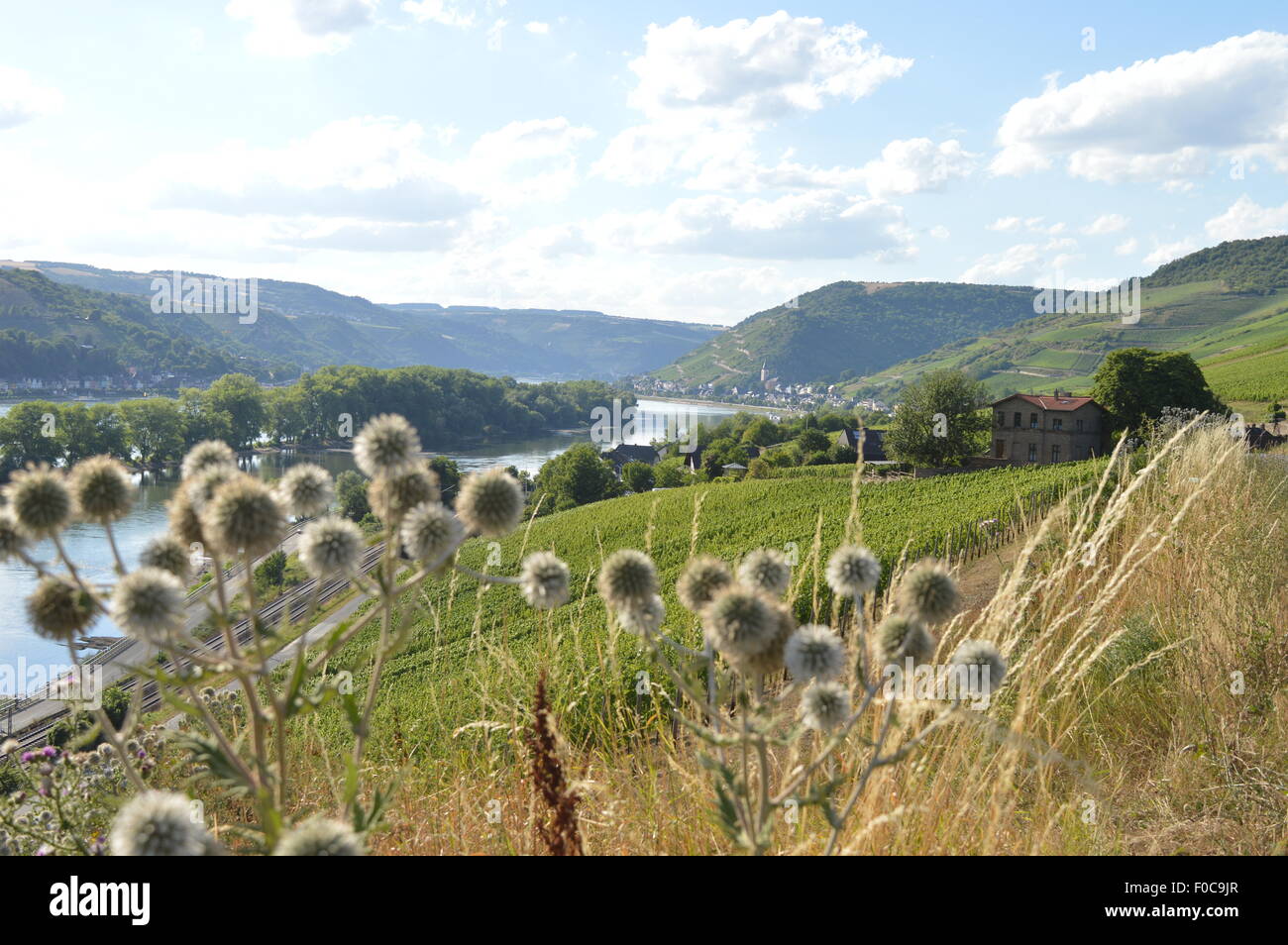 Lorch hi-res stock photography and images - Alamy
