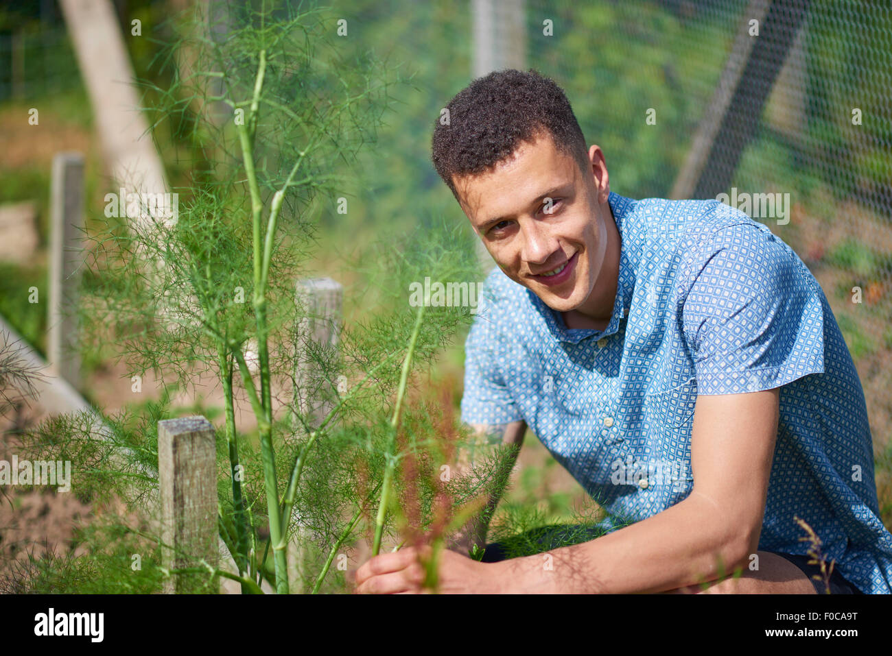 Handsome young man hi-res stock photography and images - Alamy