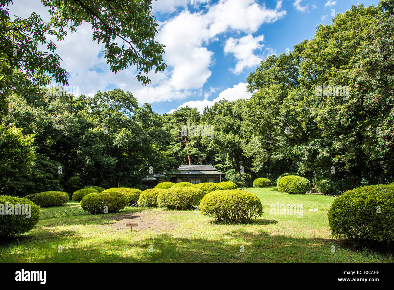 Meiji Jingu Shrine Inner Garden,Shibuya-Ku,Tokyo,Japan Stock Photo