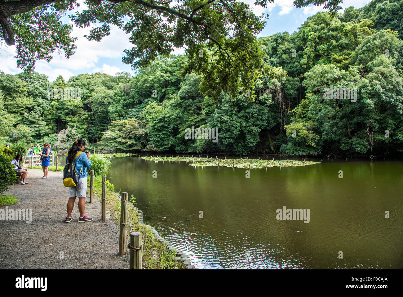 Meiji Jingu Shrine Inner Garden,Shibuya-Ku,Tokyo,Japan Stock Photo