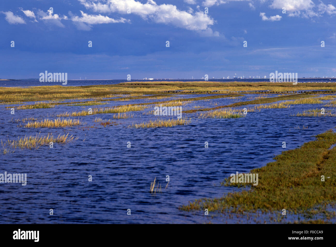 Wattenmeer; Nordseekueste, Landschaft, Friedrichskoog Stock Photo