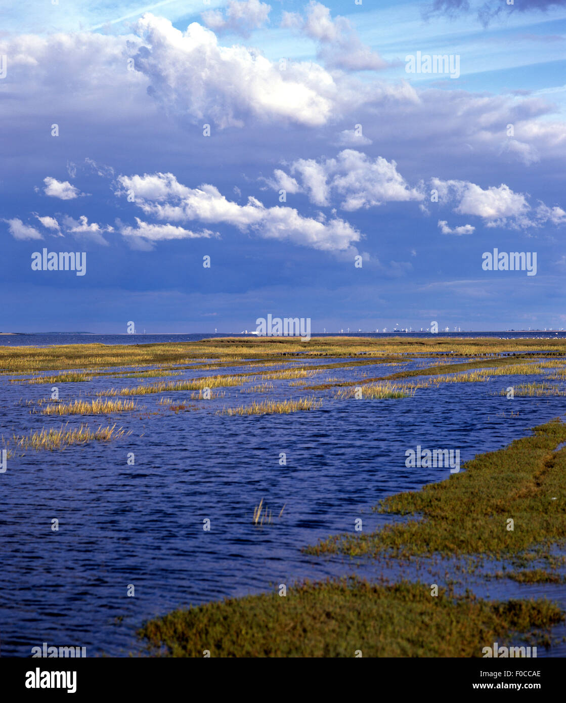 Wattenmeer; Biosphaerenreservat; Dietmarschen; Stock Photo