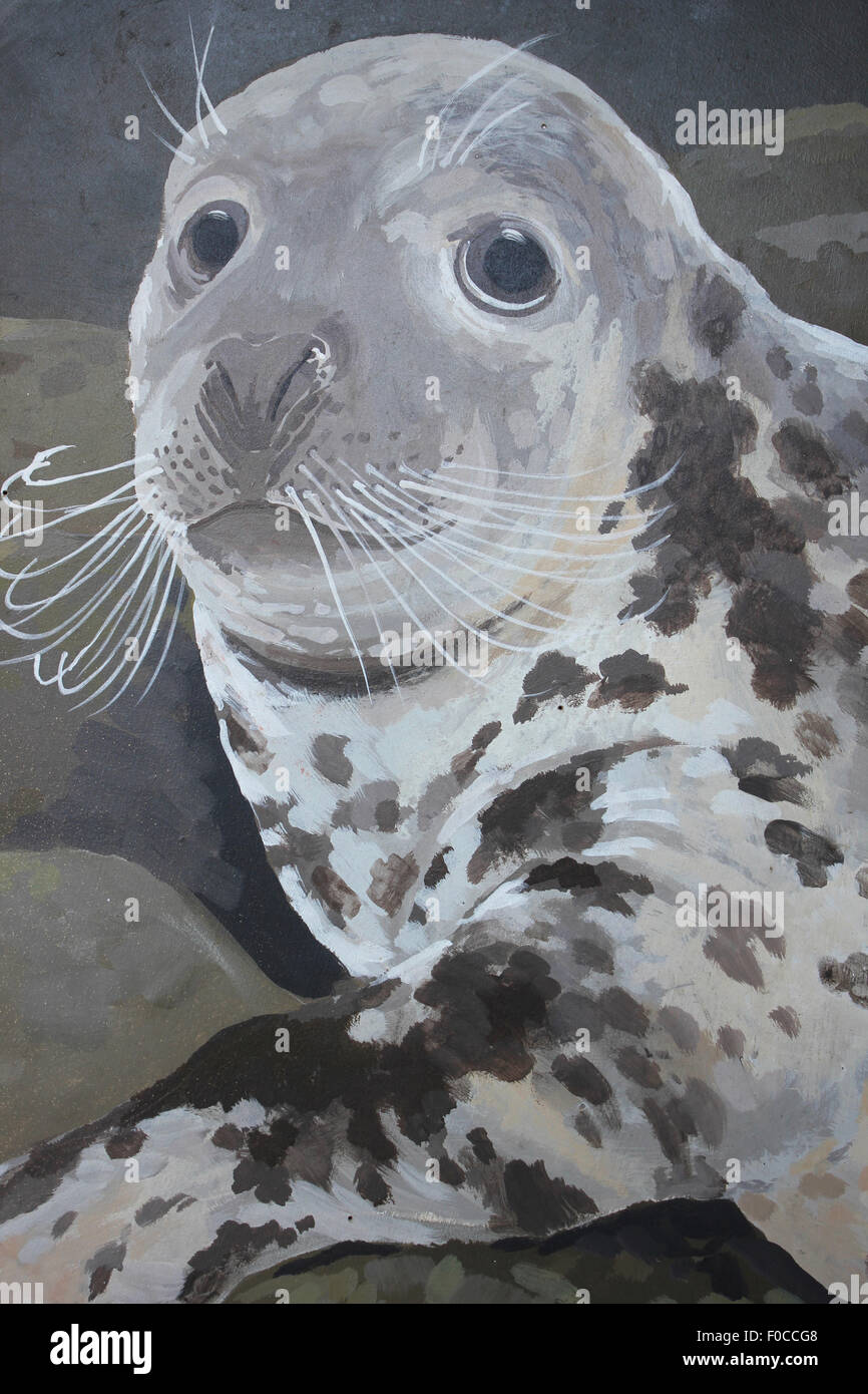 Grey Seal Painting Stock Photo
