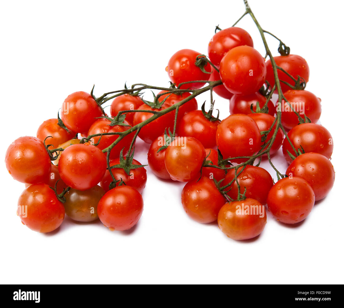 tomatoes, isolated on white background Stock Photo - Alamy