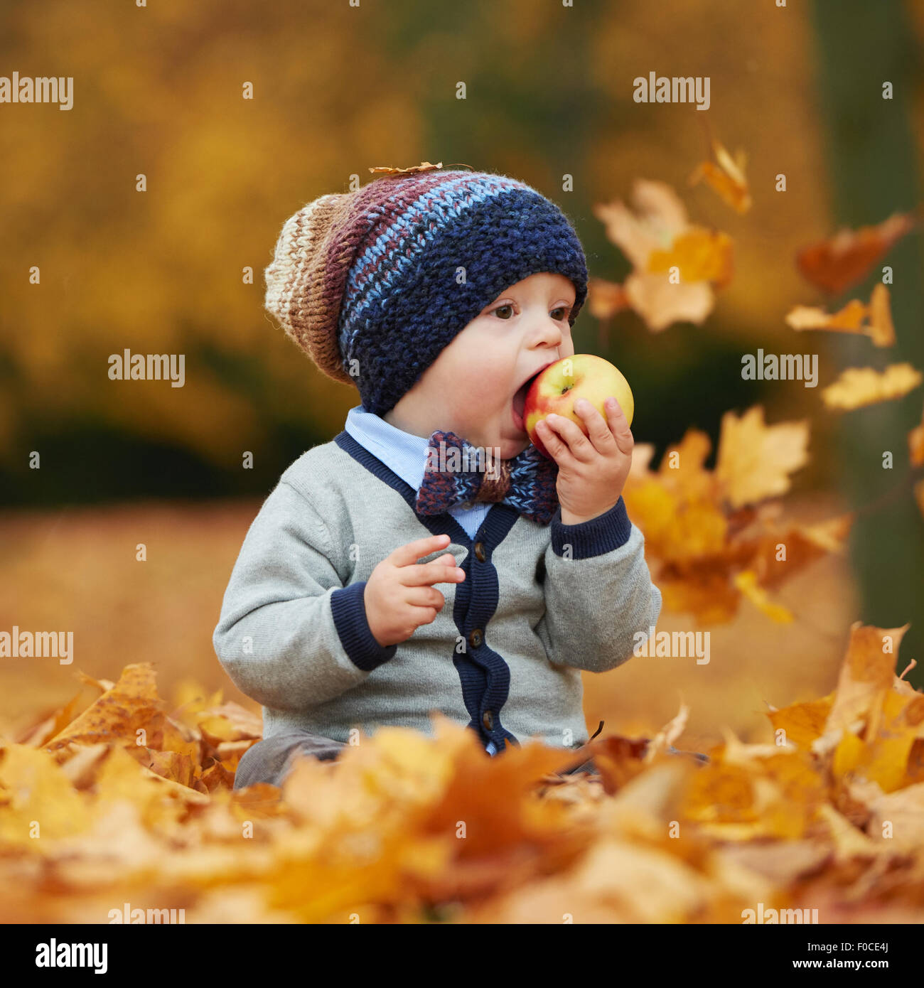 cute little baby in autumn park Stock Photo - Alamy