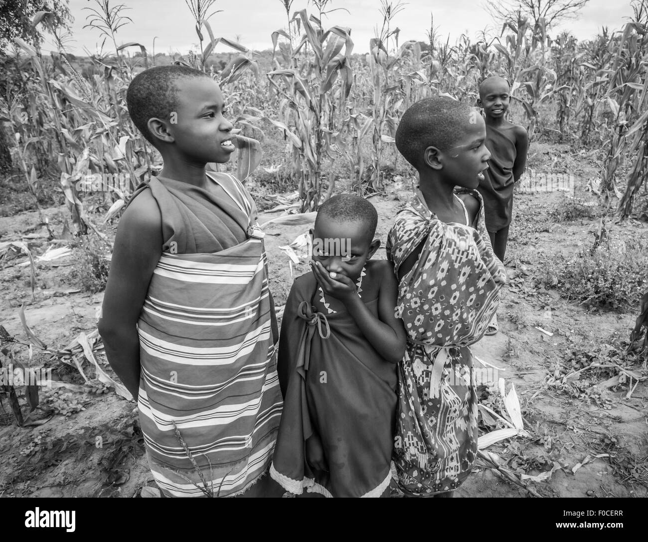 Maasai children in a cornfield in their boma (village) in Tanzania, Africa. Black and white Stock Photo