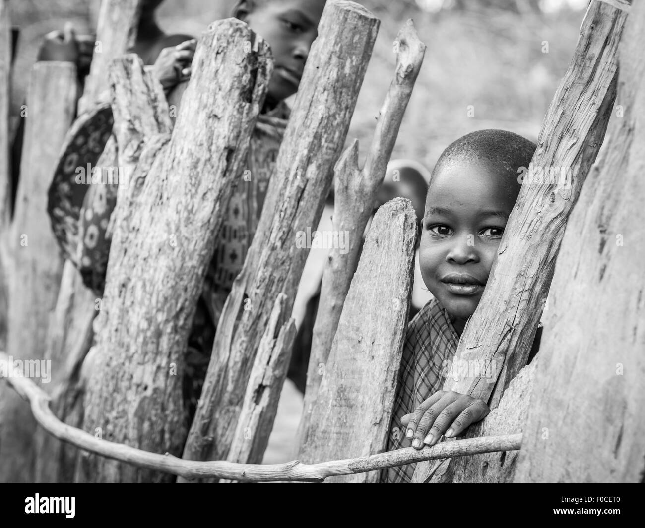 Maasai children next to a wooden goat fence in their boma (village) in Tanzania, Africa. Stock Photo