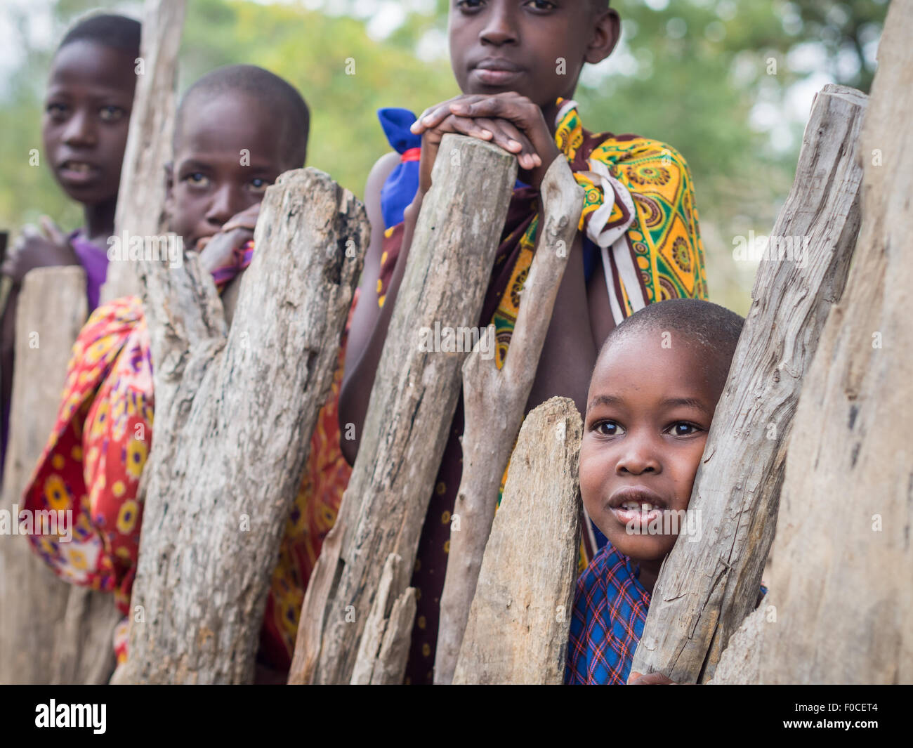 Maasai children next to a wooden goat fence in their boma (village) in Tanzania, Africa. Stock Photo