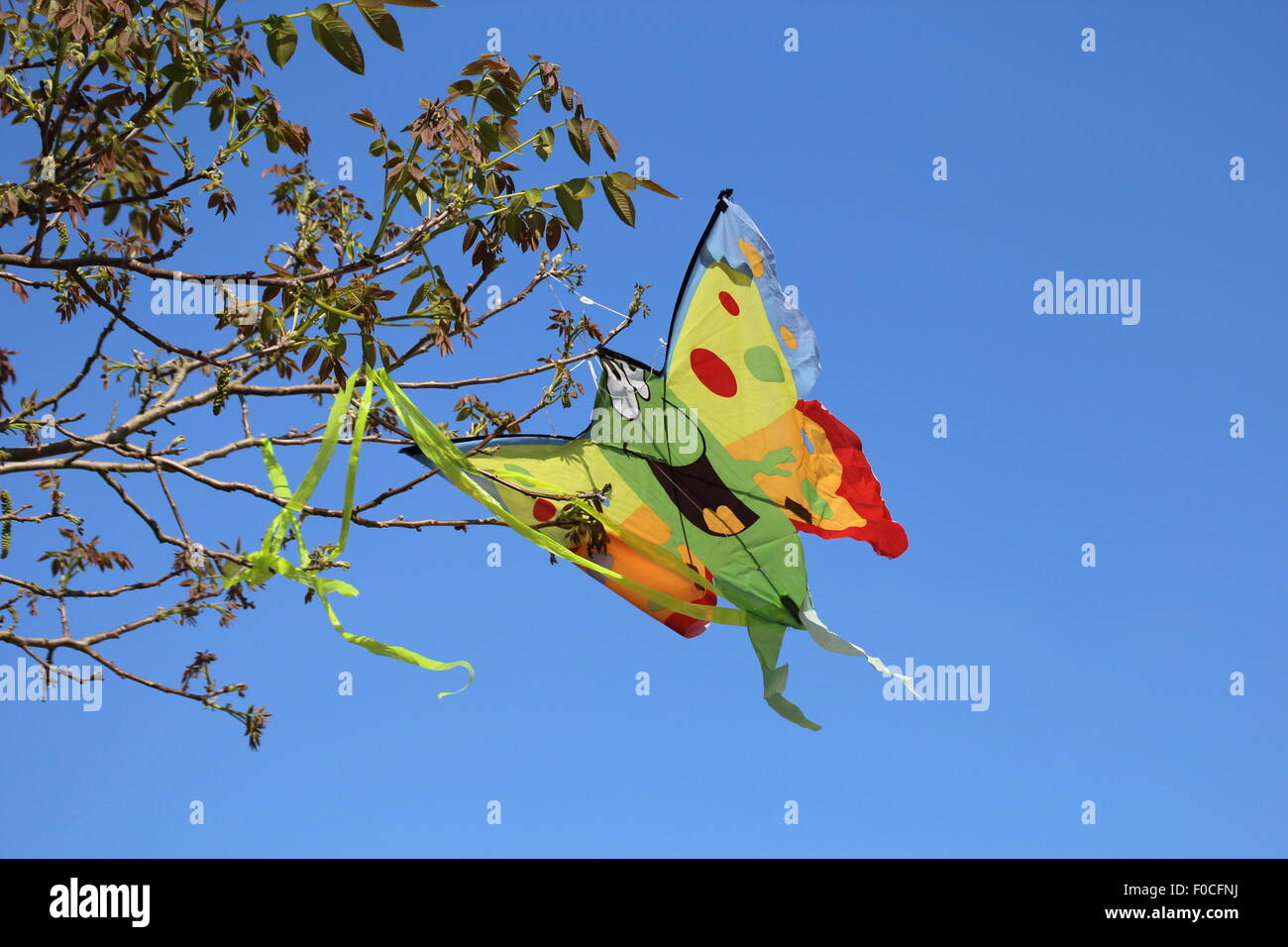 Colorful kite blowing in the wind while stuck in a tree Stock Photo Alamy