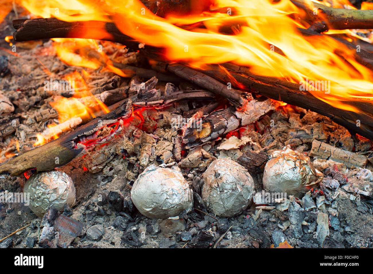 Baked potatoes wrapped with aluminum foil roasting in a bonfire Stock