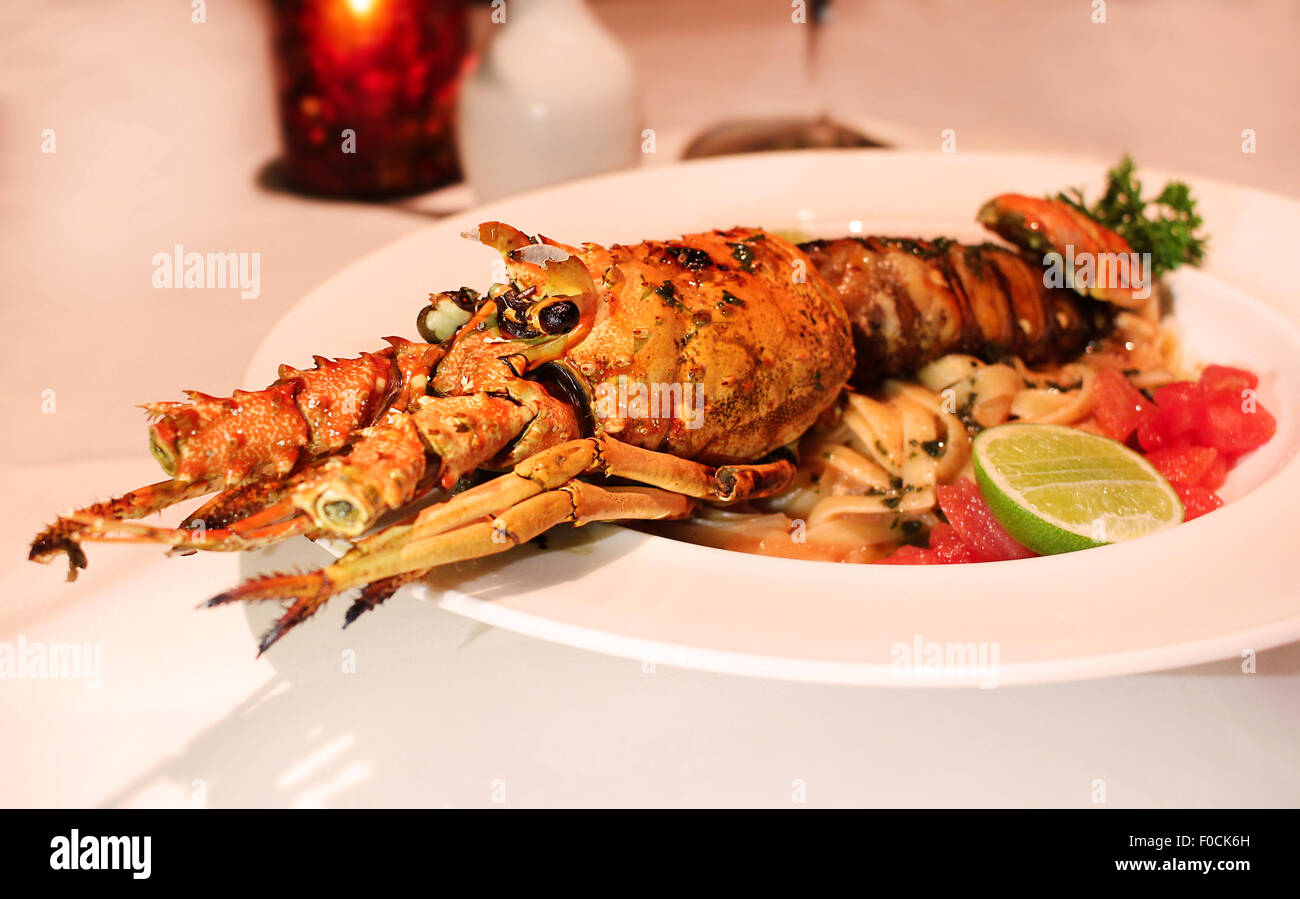 Large cooked lobster on plate Stock Photo
