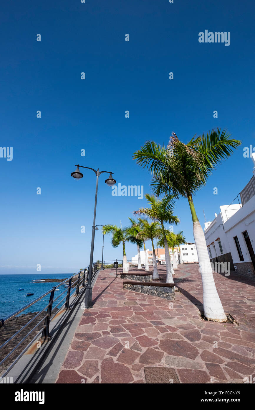 Wide angle view of palm trees along the red crazy paving promenade at Alcala in Guia de Isora, tenerife, Canary Islands, Spain. Stock Photo