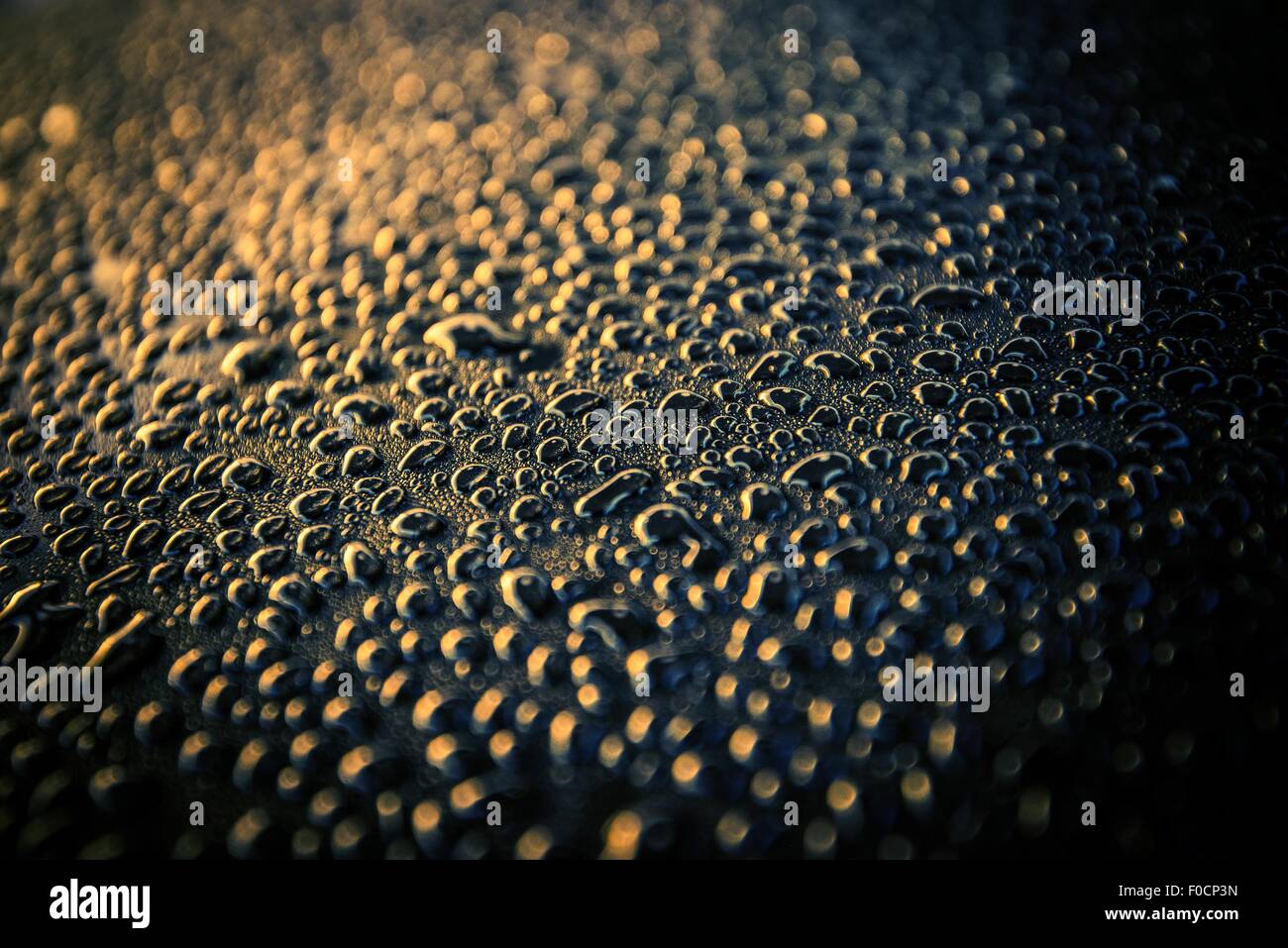 Water Drops on a Car Body After Car Washing. Car Wash Theme. Stock Photo