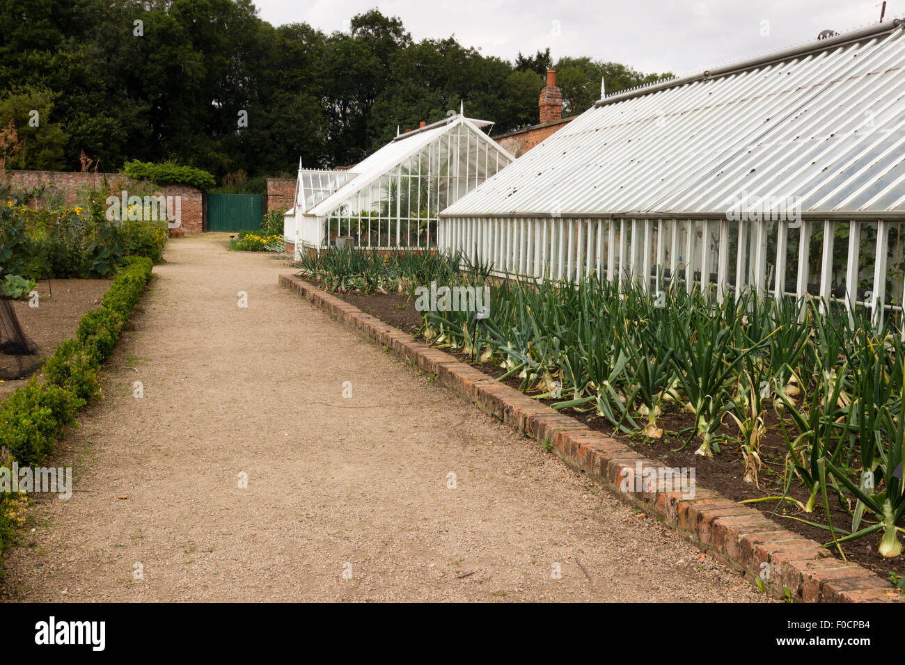 Restored Victorian greenhouses in the walled garden at Normanby Hall, Scunthorpe, UK Stock Photo