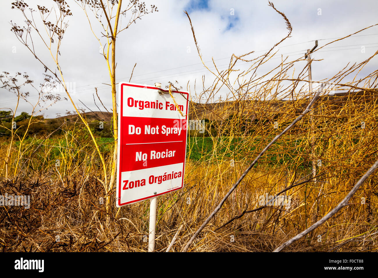 A sign asking for no spraying next to a field of Organic Squash near Prunedale California Stock Photo