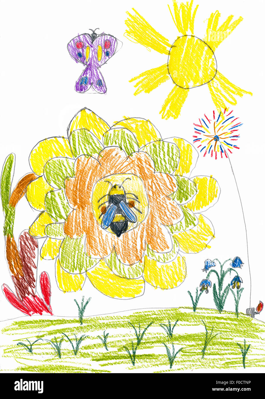 Sunflower Drawing Child High Resolution Stock Photography And Images Alamy Trace lines onto the stem in free strokes to mark the sunflower leaves. https www alamy com stock photo honey bee on sunflower and butterfly child drawing 86334690 html