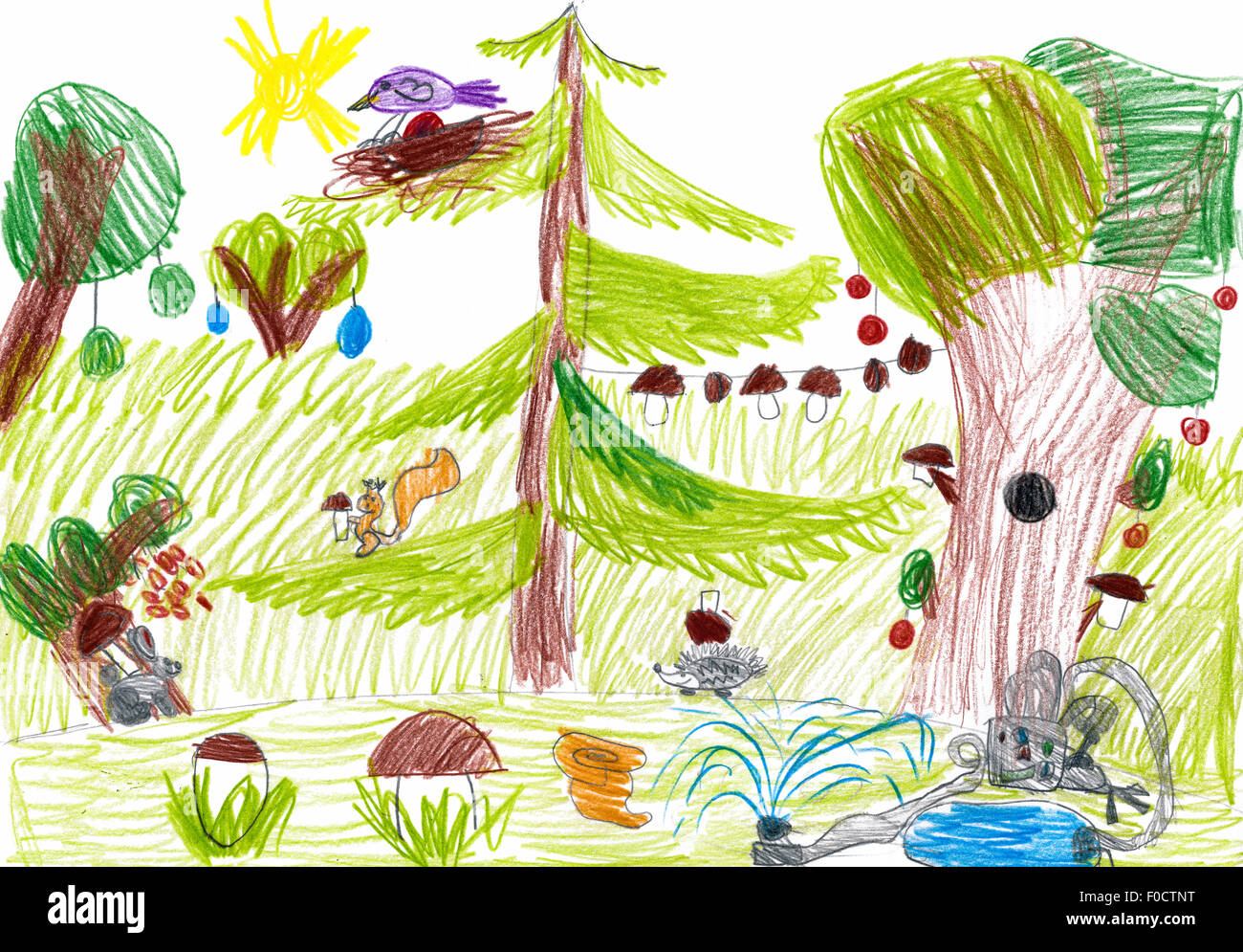 Coloring page with forest animals drawing kids Vector Image