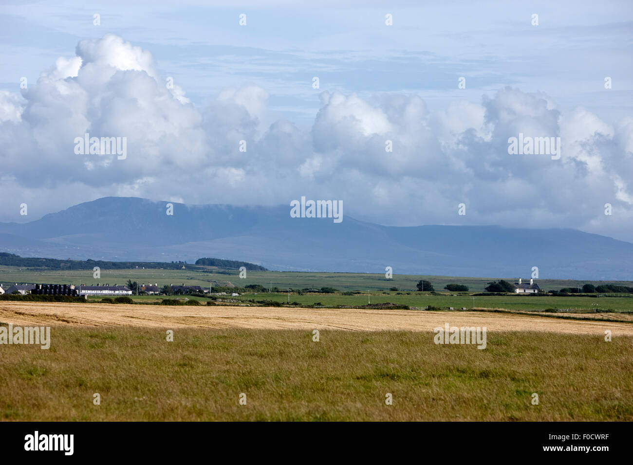 anglesey farmland and distant hills north wales uk Stock Photo