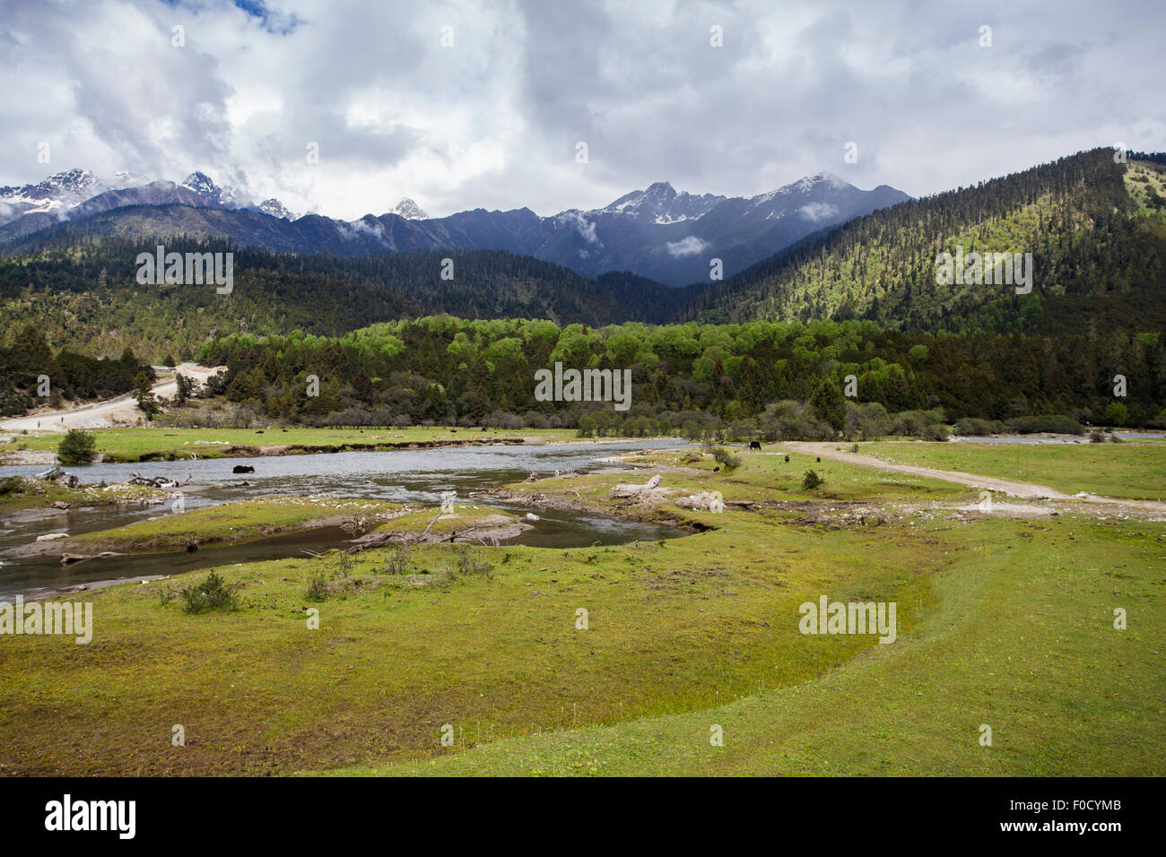 Beautiful landscape in Tibet, China Stock Photo - Alamy
