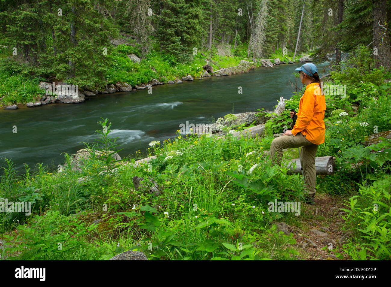 Coffee pot rapids hires stock photography and images Alamy