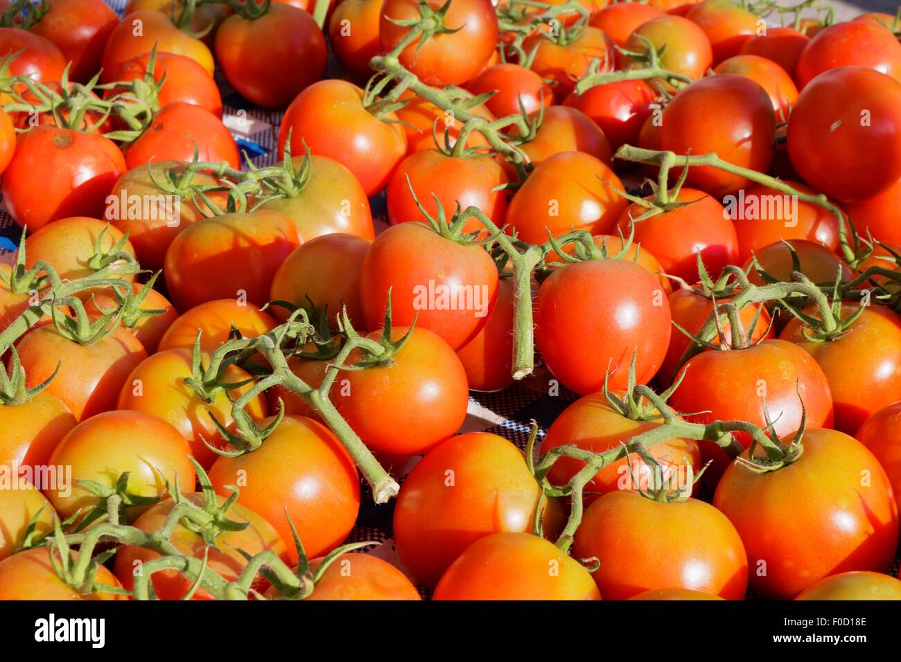 Vine ripened organic tomatoes for sale at farmers' market Stock Photo ...